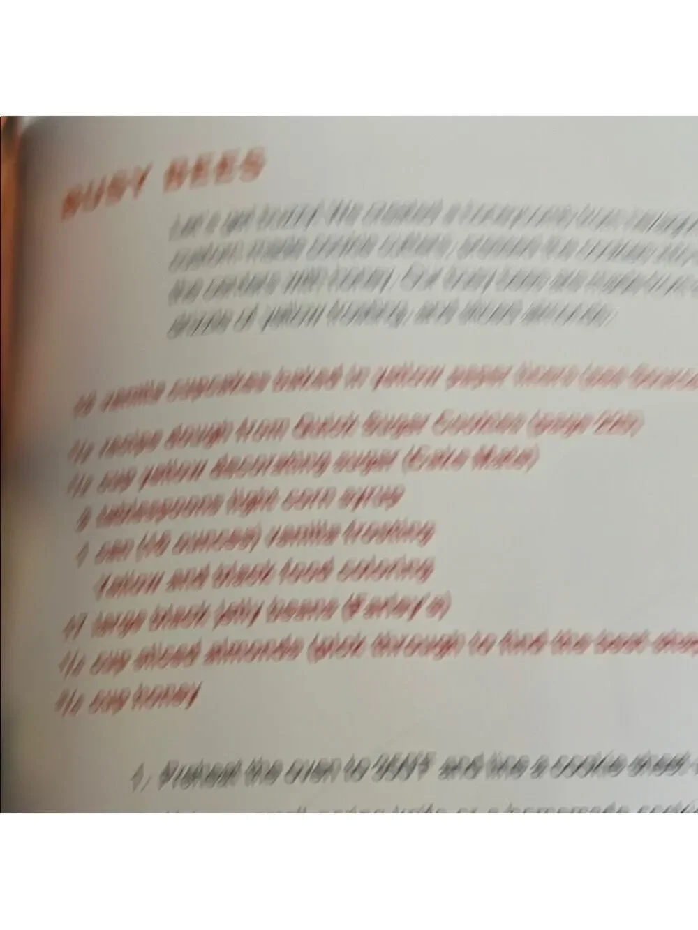 What's New, Cupcake Cook Book